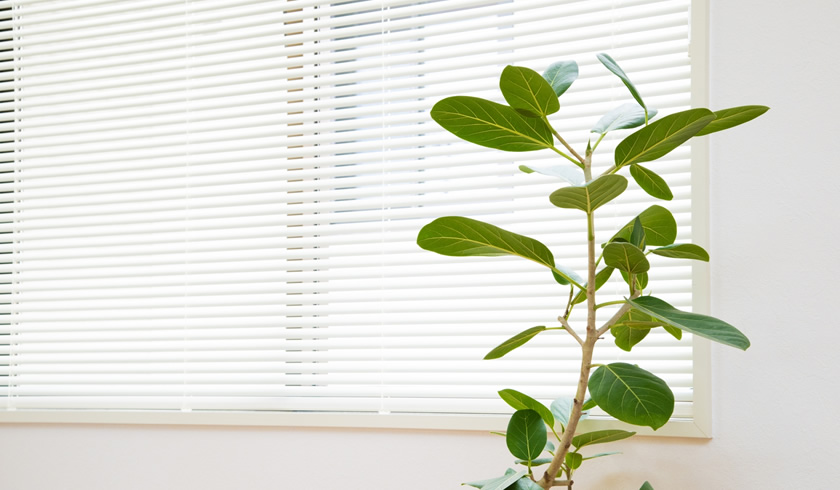 オーダーカーテン・ロールスクリーン